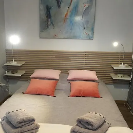 Apartment Petite Venise Colmar