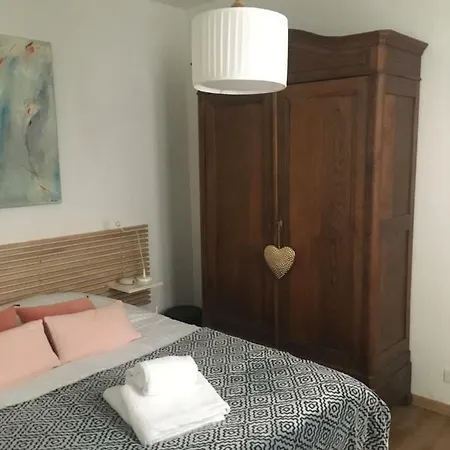 Petite Venise Apartment Colmar